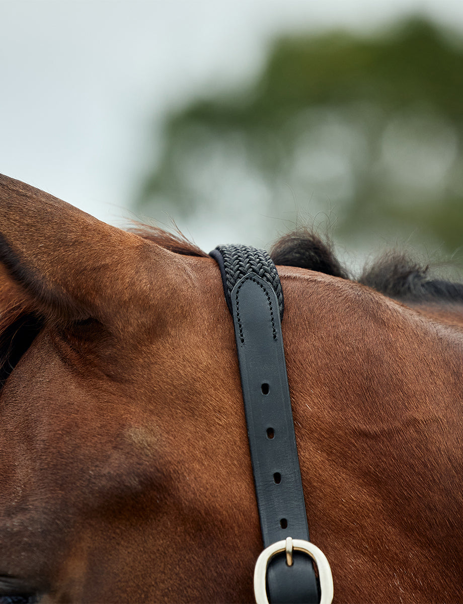Dublin Braided Leather Headcollar