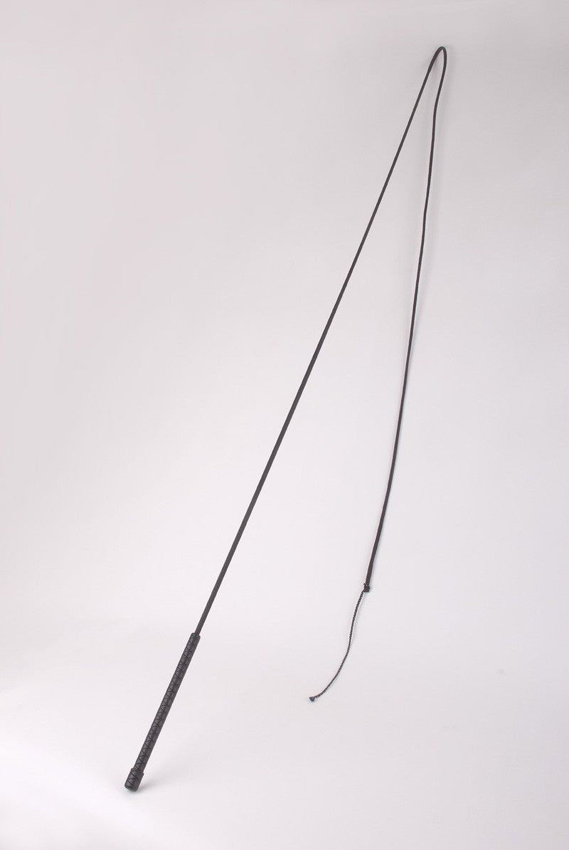 Harlequin Lunge Whip