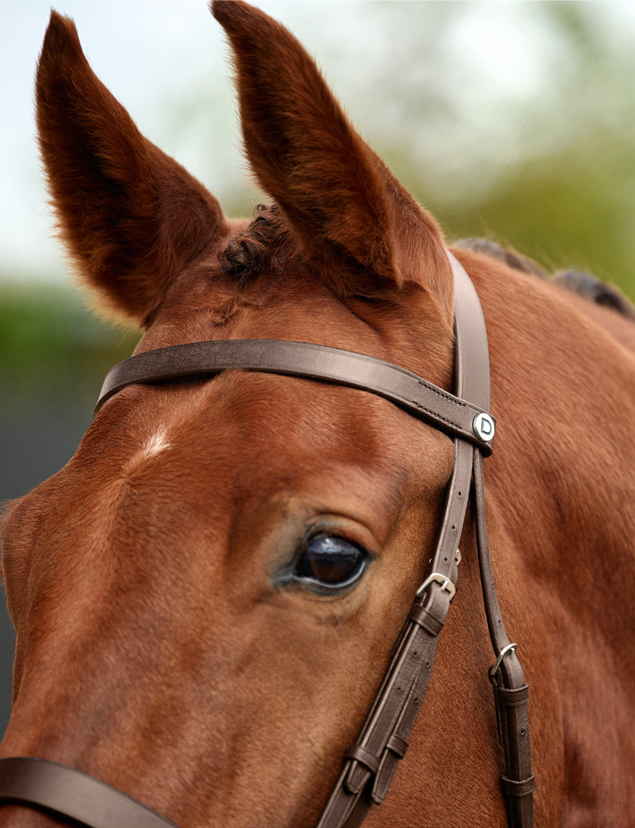 Dublin Flat Cavesson Bridle