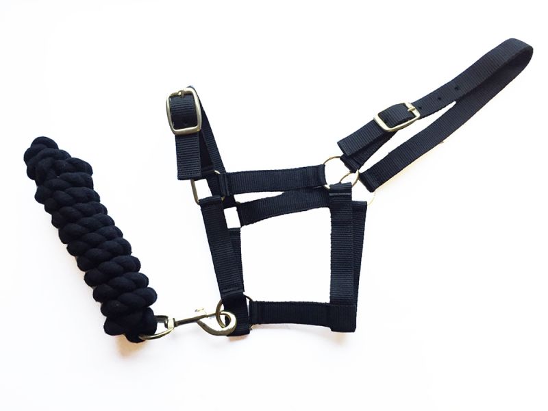 Harlequin Headcollar and Rope Set- Various Colours