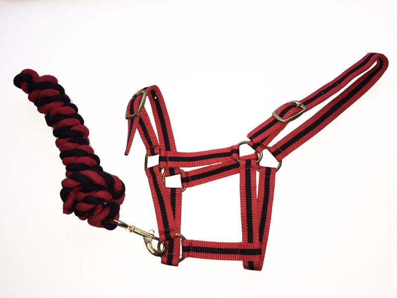 Harlequin Headcollar and Rope Set- Various Colours