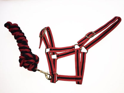Harlequin Headcollar and Rope Set- Various Colours