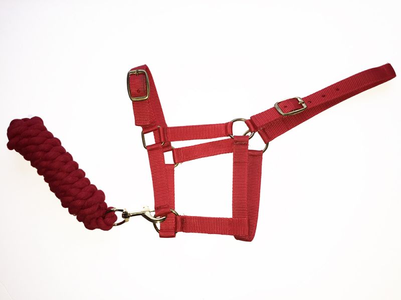 Harlequin Headcollar and Rope Set- Various Colours