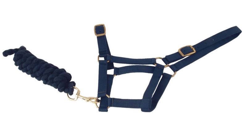 Harlequin Headcollar and Rope Set- Various Colours