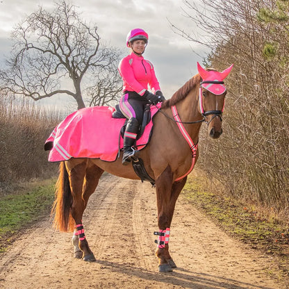 Hy Equestrian Reflector Martingale