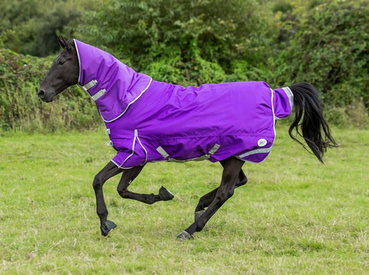 Swish 360g Turnout Rug With Detachable Neck - Purple
