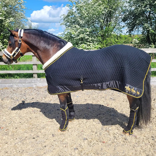 Supreme Products Luxury Royal Occasion Rug