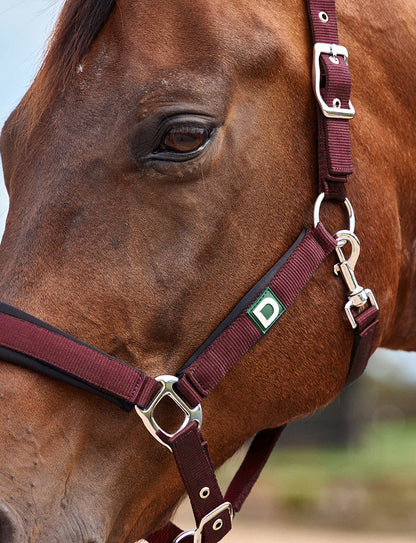 Dublin Neo Comfort Headcollar