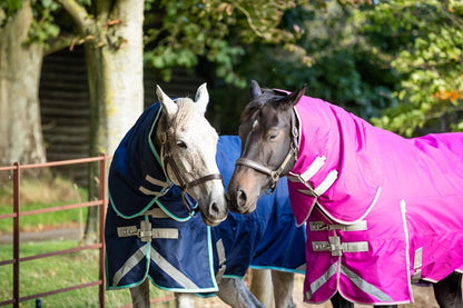 Swish 450g Ultimate Fixed Neck Turnout Rug - Mulberry