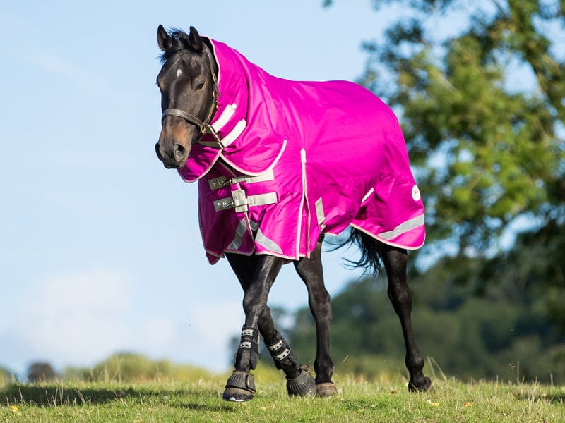Swish 450g Ultimate Fixed Neck Turnout Rug - Mulberry