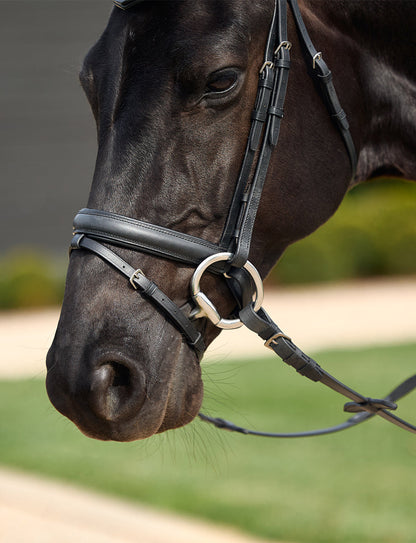 Dublin Padded Comfort Crown Crystal Flash Bridle