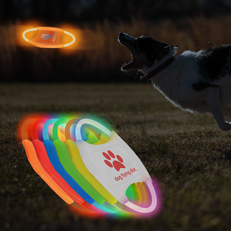 Pet LED Rechargeable Frisbee