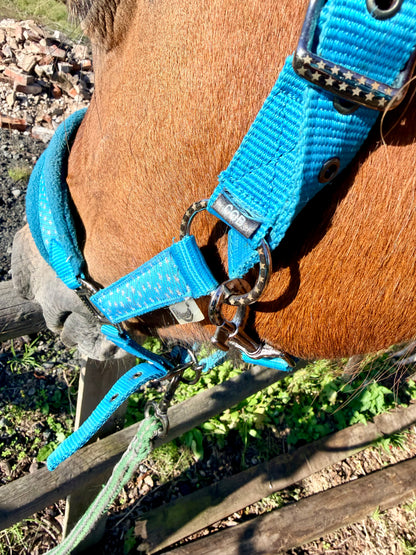 Rhinegold Star Spangled Headcollar & Rope Set