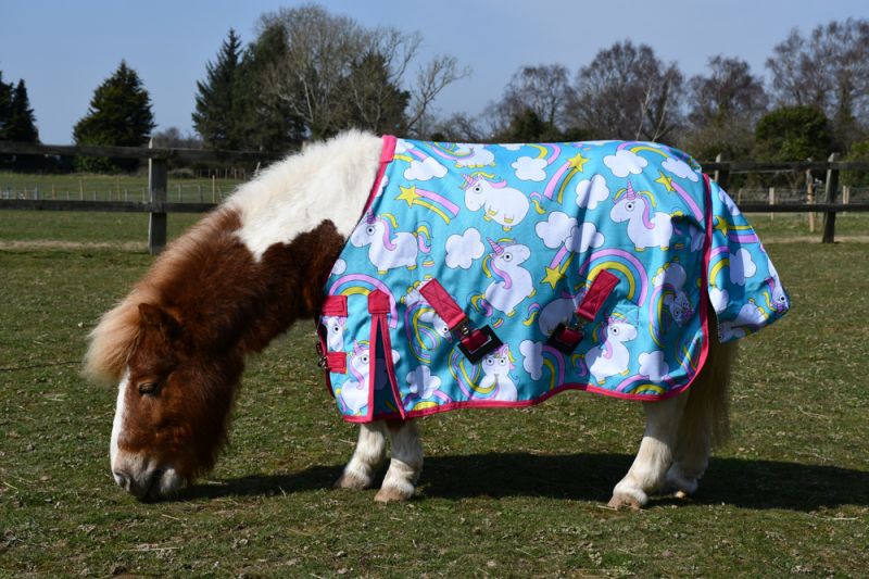 Rhinegold Unicorn Mini torrent Outdoor Rug
