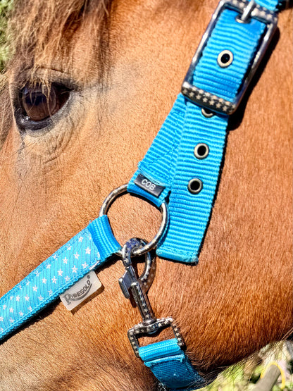 Rhinegold Star Spangled Headcollar & Rope Set