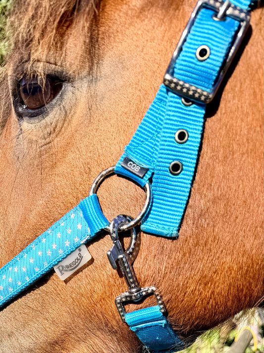 Rhinegold Star Spangled Headcollar & Rope Set