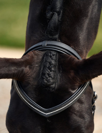 Dublin Padded Comfort Crown Crystal Flash Bridle