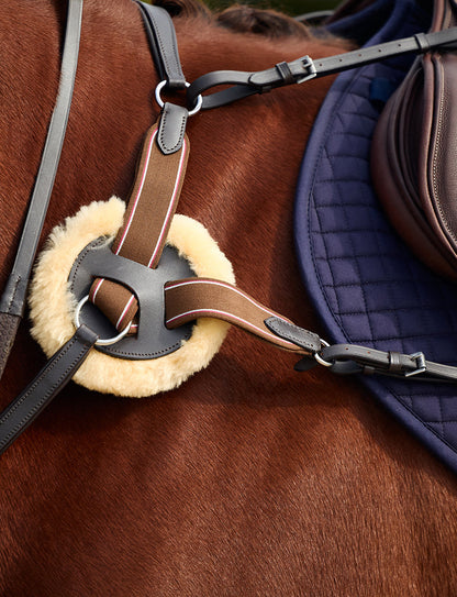 Dublin 5-Point Event Breastplate