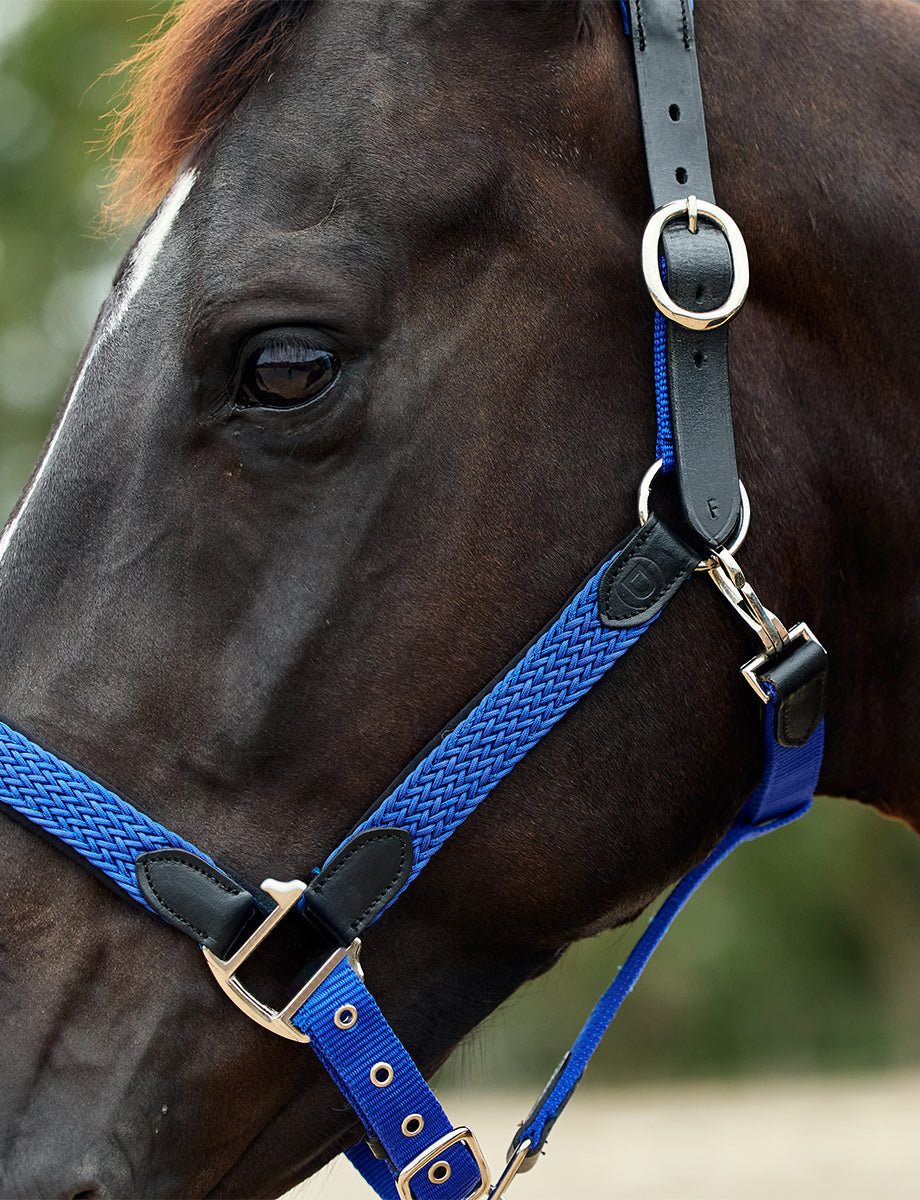 Dublin Braided Leather Headcollar