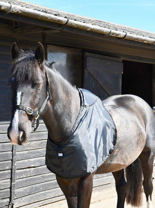 Rhinegold Memory Foam Vest