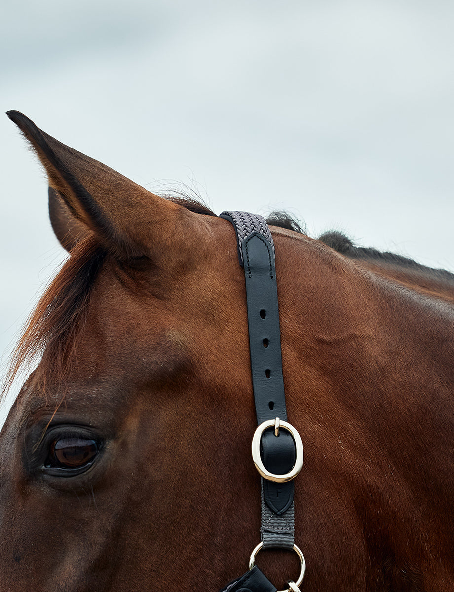 Dublin Braided Leather Headcollar