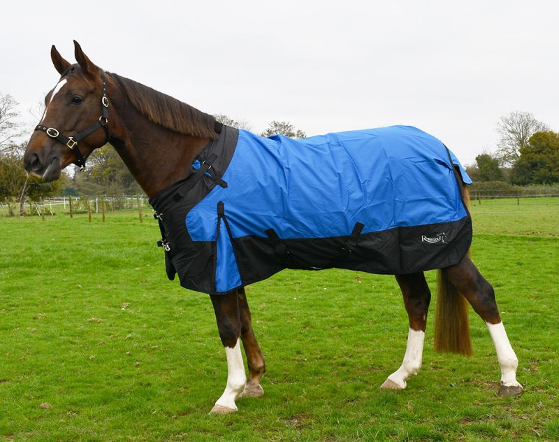 Rhinegold Phoenix Outdoor Rug 50g