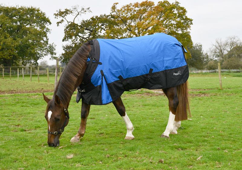 Rhinegold Phoenix Outdoor Rug 50g