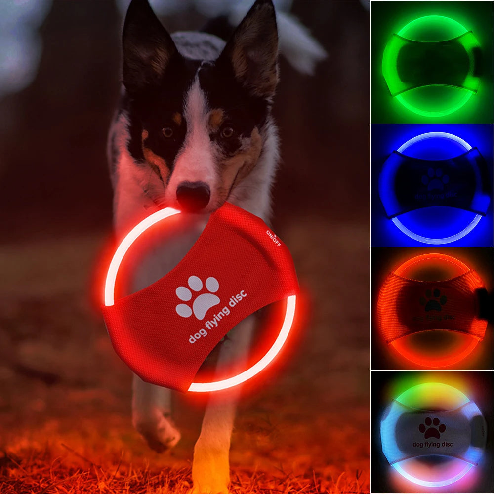 Pet LED Rechargeable Frisbee