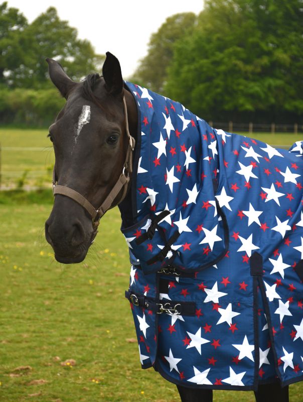 Rhinegold Star Torrent Full Neck Combo Turnout Rug