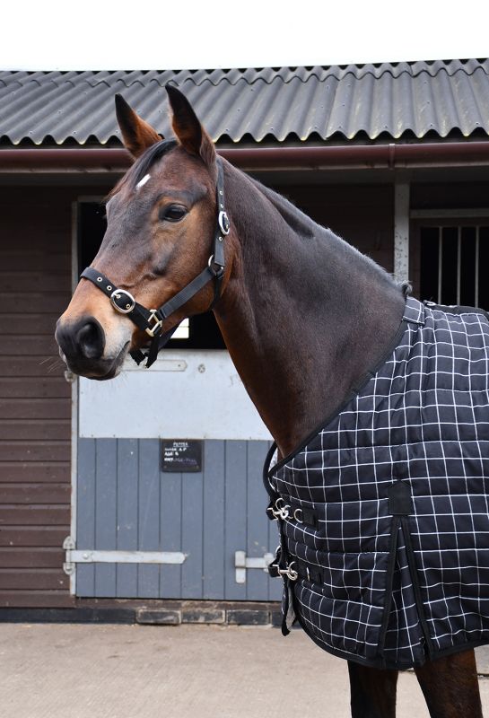 Rhinegold ‘Vegas’ Stable Quilted Rug