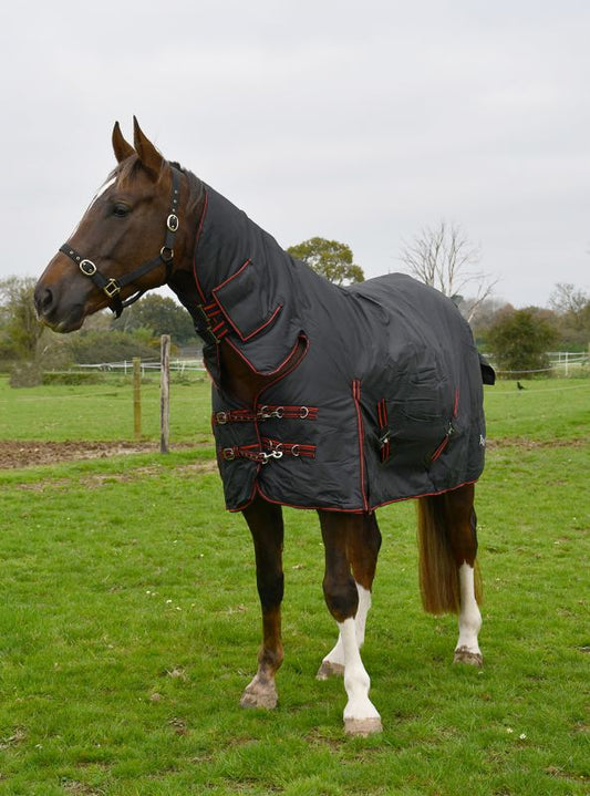 Rhinegold ‘Aspen’ Full Neck Combo Outdoor Rug 350g