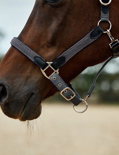 Dublin Braided Leather Headcollar