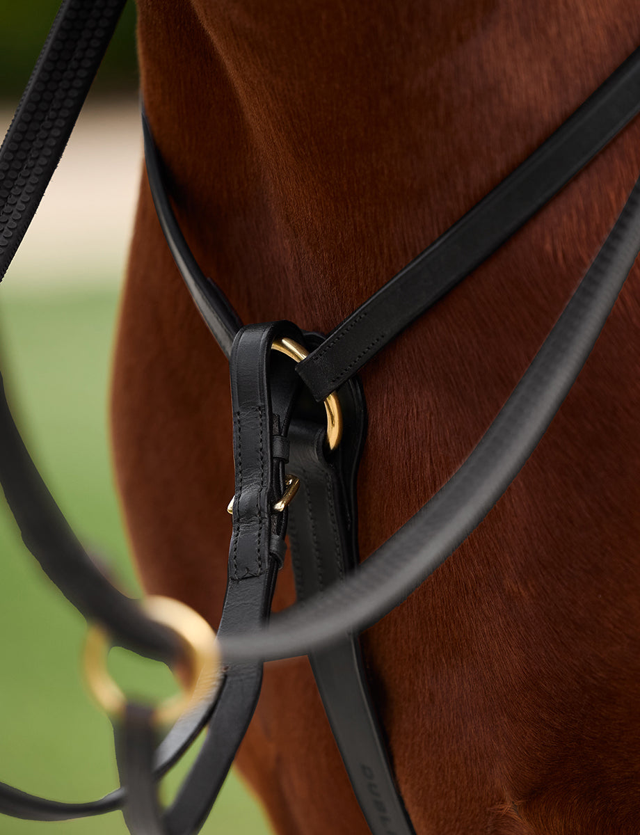 Dublin 3-Point Breastplate