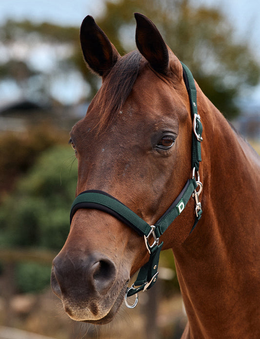 Dublin Neo Comfort Headcollar
