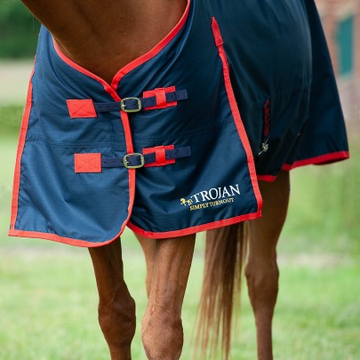 TROJAN 200g Turnout Rug