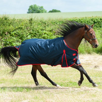 TROJAN 200g Turnout Rug