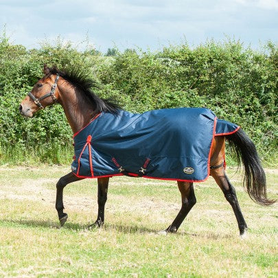TROJAN 200g Turnout Rug
