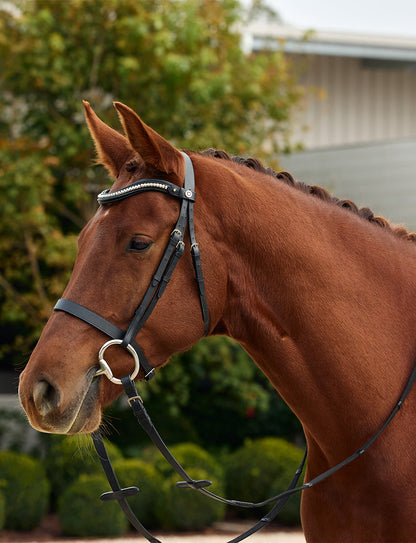 Dublin Clincher Wave Browband