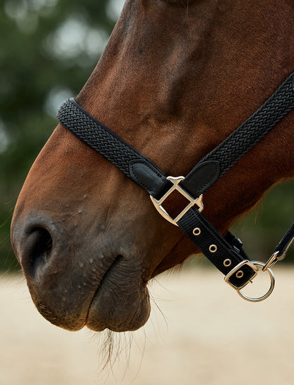 Dublin Braided Leather Headcollar