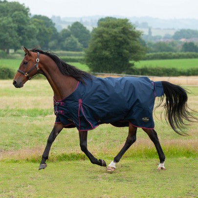 Trojan 50g Turnout Rug- 7ft