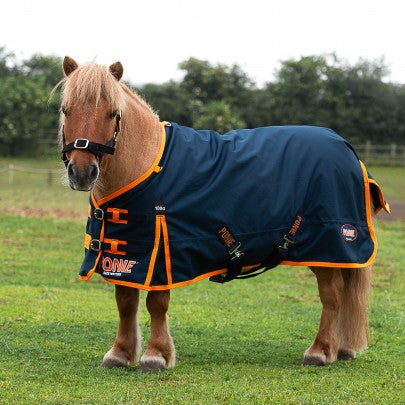 Ponie 100g Turnout rug