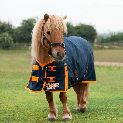 Ponie 100g Turnout rug