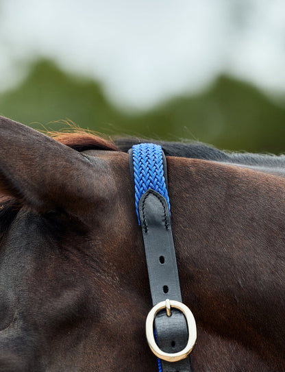 Dublin Braided Leather Headcollar
