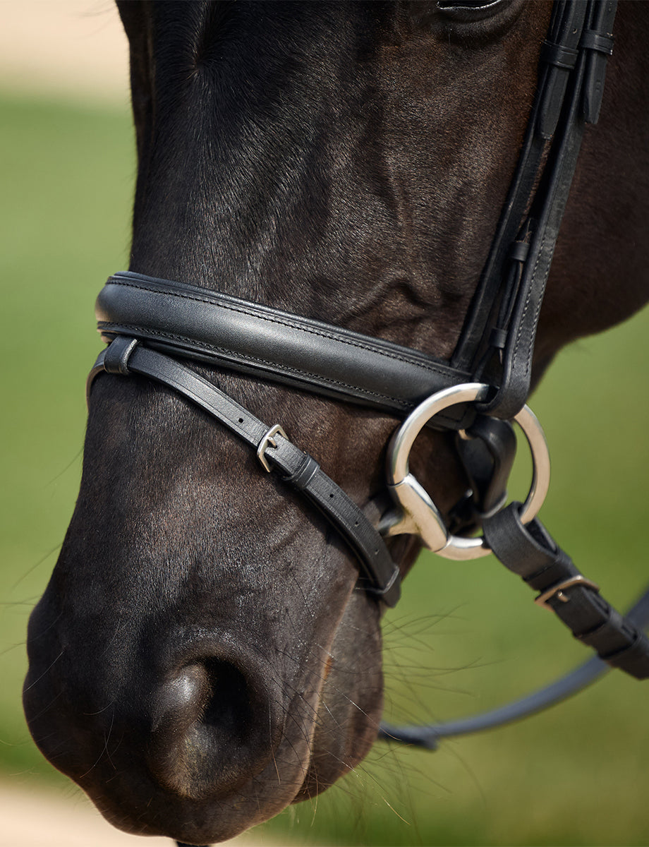 Dublin Padded Comfort Crown Crystal Flash Bridle