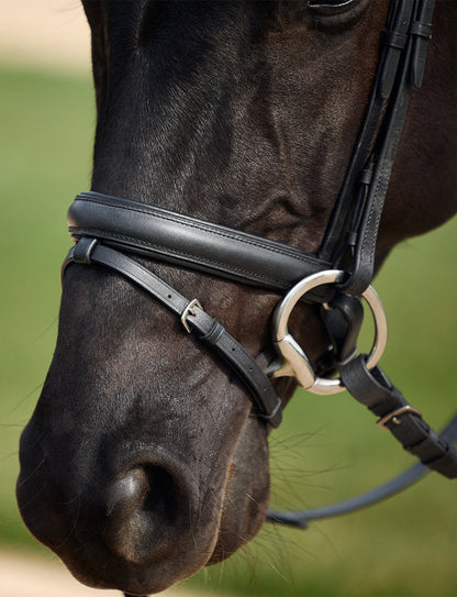 Dublin Padded Comfort Crown Crystal Flash Bridle