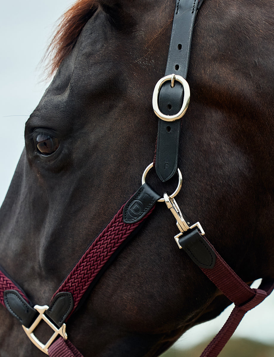 Dublin Braided Leather Headcollar