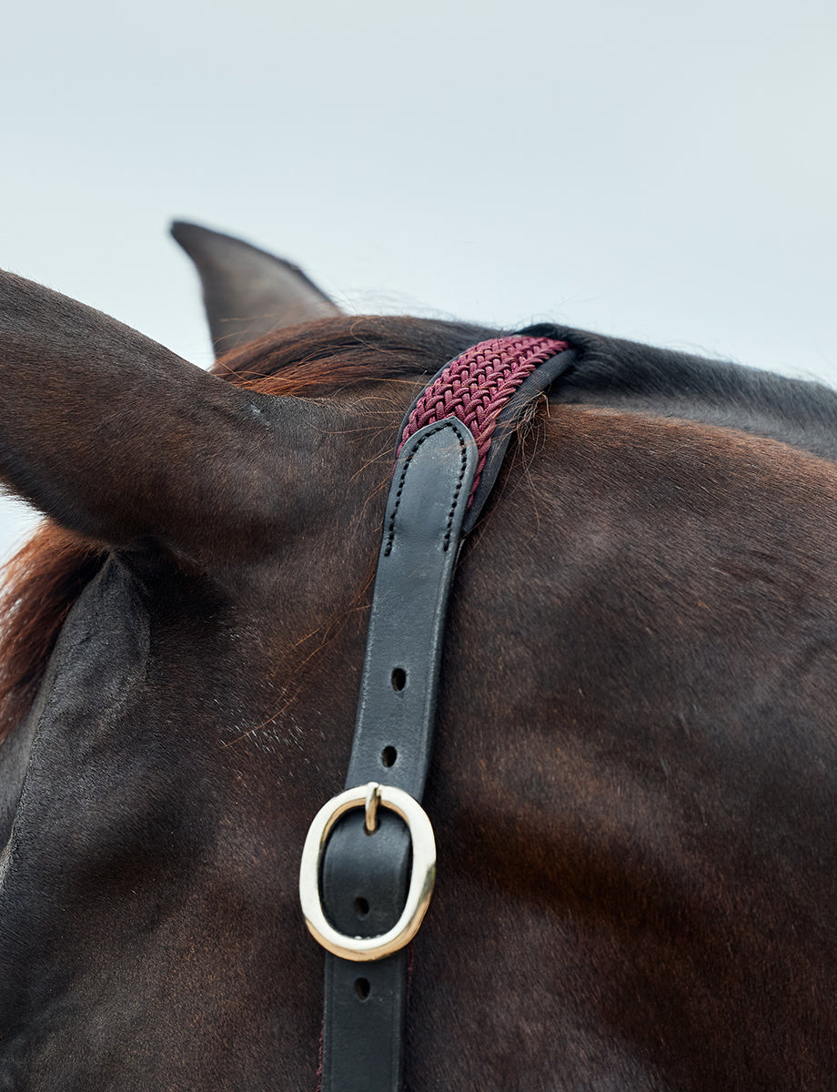 Dublin Braided Leather Headcollar