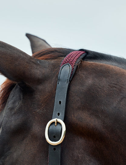 Dublin Braided Leather Headcollar