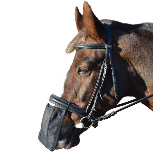 HY Nose Shield