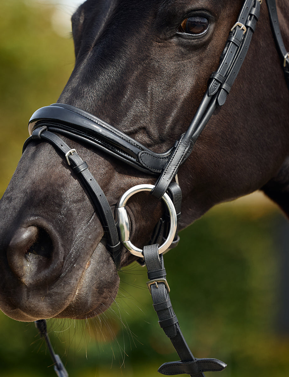 Dublin Padded Mono Crown Patent Flash Bridle